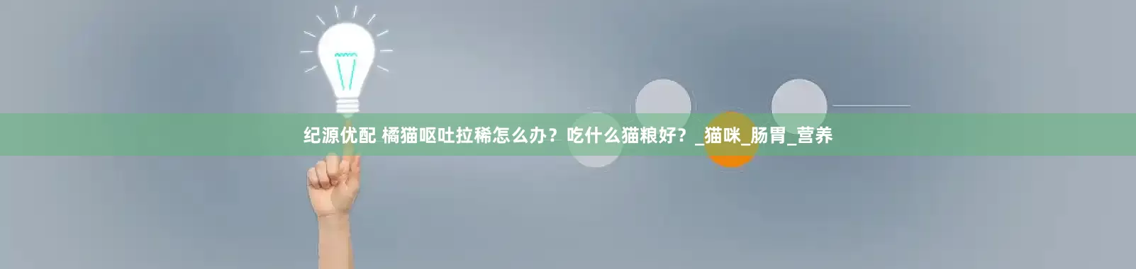 纪源优配 橘猫呕吐拉稀怎么办？吃什么猫粮好？_猫咪_肠胃_营养