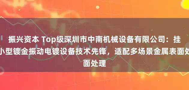 振兴资本 Top级深圳市中南机械设备有限公司：挂镀小型镀金振动电镀设备技术先锋，适配多场景金属表面处理